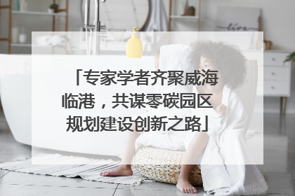 专家学者齐聚威海临港，共谋零碳园区规划建设创新之路