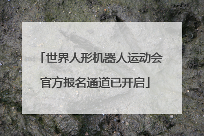 世界人形机器人运动会官方报名通道已开启