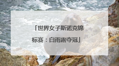 世界女子斯诺克锦标赛：白雨露夺冠