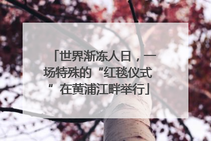 世界渐冻人日，一场特殊的“红毯仪式”在黄浦江畔举行