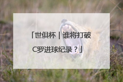 世俱杯｜谁将打破C罗进球纪录？