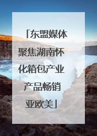 东盟媒体聚焦湖南怀化箱包产业 产品畅销亚欧美