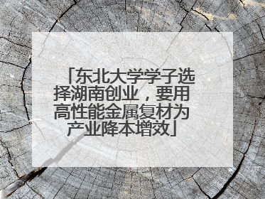 东北大学学子选择湖南创业，要用高性能金属复材为产业降本增效