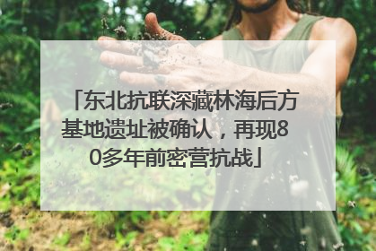 东北抗联深藏林海后方基地遗址被确认，再现80多年前密营抗战