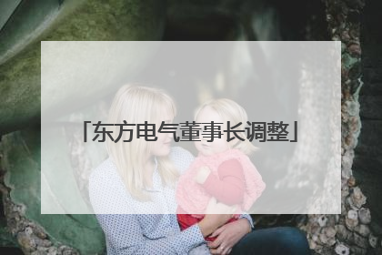 东方电气董事长调整