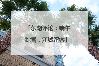 东湖评论：端午粽香，江城留客