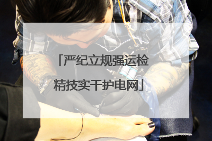 严纪立规强运检 精技实干护电网