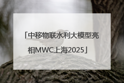 中移物联水利大模型亮相MWC上海2025