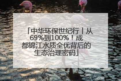 中华环保世纪行丨从69%到100%！成都锦江水质全优背后的生态治理密码