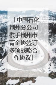 中国石化荆州分公司携手荆州市青企协签订多项战略合作协议