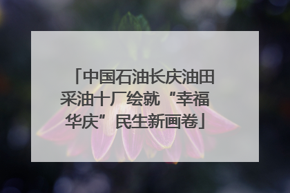 中国石油长庆油田采油十厂绘就“幸福华庆”民生新画卷