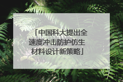 中国科大提出全速度冲击防护仿生材料设计新策略