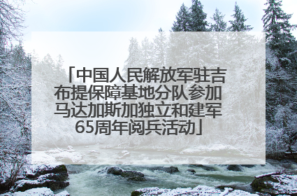 中国人民解放军驻吉布提保障基地分队参加马达加斯加独立和建军65周年阅兵活动