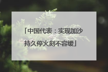 中国代表：实现加沙持久停火刻不容缓
