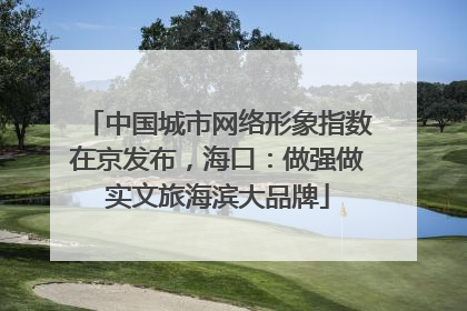 中国城市网络形象指数在京发布，海口：做强做实文旅海滨大品牌