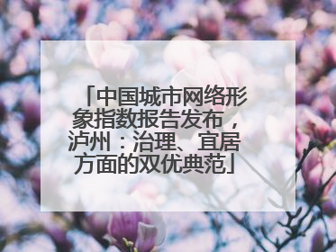 中国城市网络形象指数报告发布，泸州：治理、宜居方面的双优典范