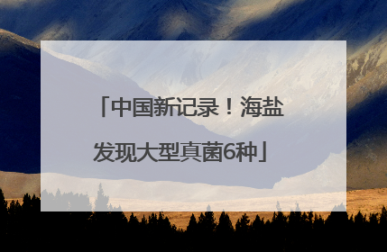 中国新记录！海盐发现大型真菌6种