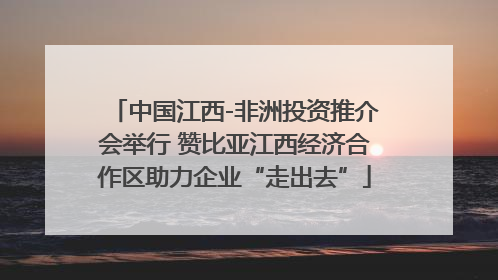 中国江西-非洲投资推介会举行 赞比亚江西经济合作区助力企业“走出去”