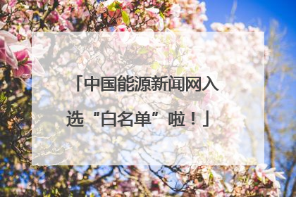 中国能源新闻网入选“白名单”啦！