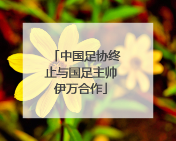 中国足协终止与国足主帅伊万合作