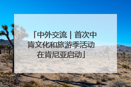 中外交流｜首次中肯文化和旅游季活动在肯尼亚启动