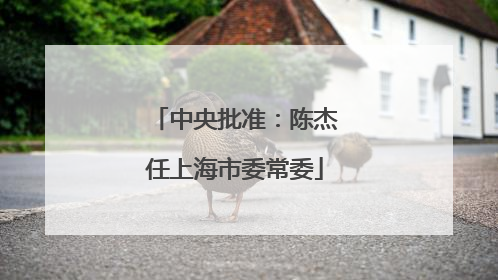 中央批准：陈杰任上海市委常委