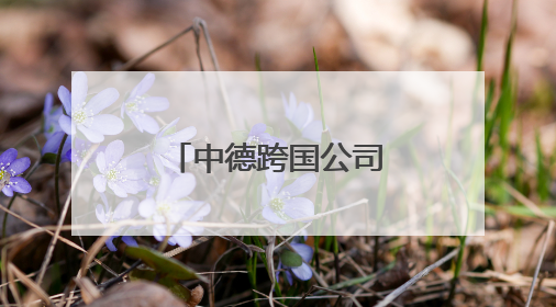 中德跨国公司发展交流论坛在青岛举行