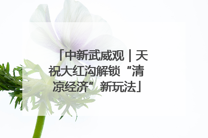 中新武威观｜天祝大红沟解锁“清凉经济”新玩法