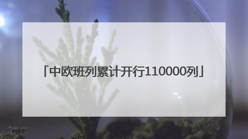 中欧班列累计开行110000列