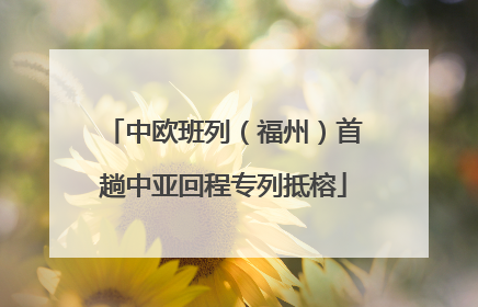 中欧班列（福州）首趟中亚回程专列抵榕