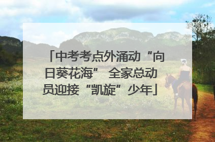 中考考点外涌动“向日葵花海” 全家总动员迎接“凯旋”少年