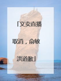 义卖直播取消，俞敏洪道歉