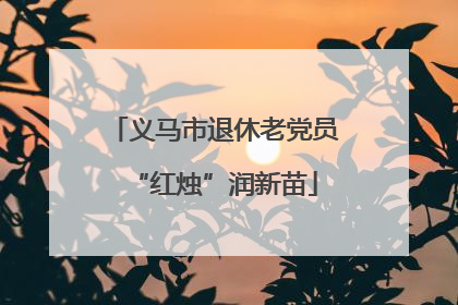 义马市退休老党员“红烛”润新苗