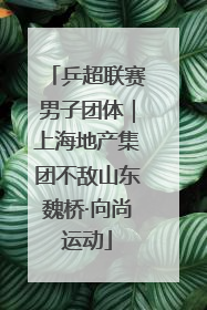 乒超联赛男子团体｜上海地产集团不敌山东魏桥·向尚运动