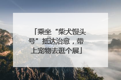 乘坐“柴犬馒头号”抵达治愈，带上宠物去逛个展