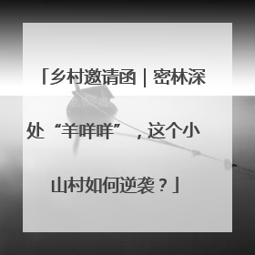 乡村邀请函｜密林深处“羊咩咩”，这个小山村如何逆袭？