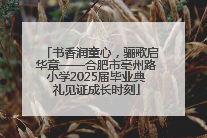 书香润童心，骊歌启华章——合肥市亳州路小学2025届毕业典礼见证成长时刻