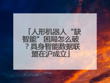 人形机器人“缺智能”困局怎么破？具身智能数据联盟在沪成立