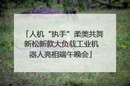 人机“执手”柔美共舞 新松新款大负载工业机器人亮相端午晚会