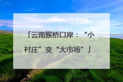 云南猴桥口岸：“小村庄”变“大市场”