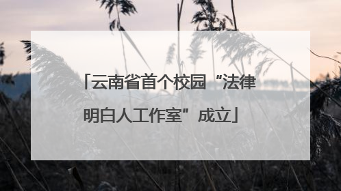 云南省首个校园“法律明白人工作室”成立