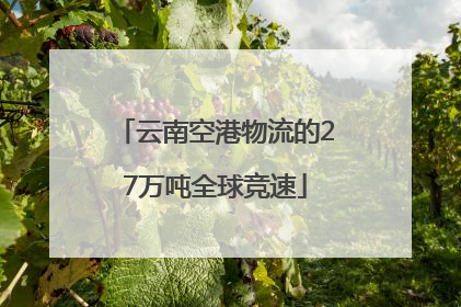 云南空港物流的27万吨全球竞速