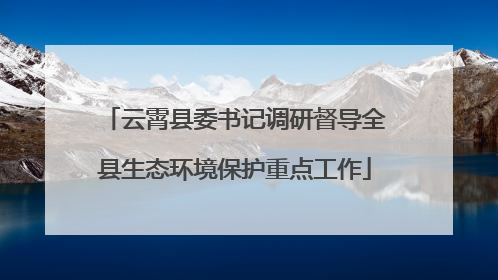 云霄县委书记调研督导全县生态环境保护重点工作