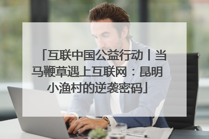 互联中国公益行动丨当马鞭草遇上互联网：昆明小渔村的逆袭密码