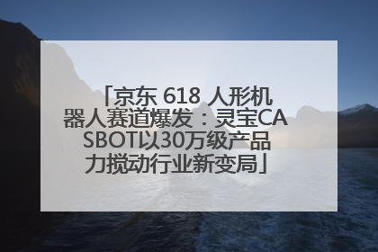 京东 618 人形机器人赛道爆发：灵宝CASBOT以30万级产品力搅动行业新变局