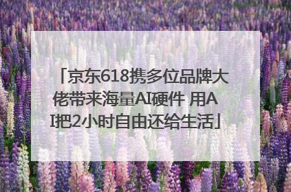 京东618携多位品牌大佬带来海量AI硬件 用AI把2小时自由还给生活