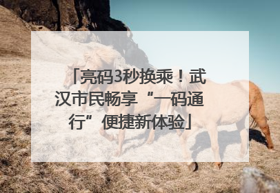 亮码3秒换乘！武汉市民畅享“一码通行”便捷新体验