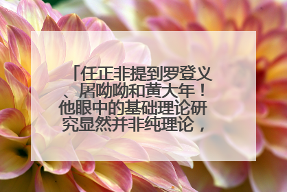 任正非提到罗登义、屠呦呦和黄大年！他眼中的基础理论研究显然并非纯理论，为什么？