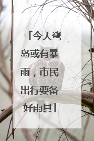 今天鹭岛或有暴雨，市民出行要备好雨具