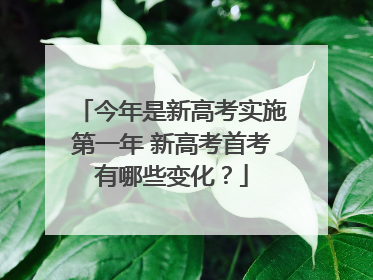 今年是新高考实施第一年 新高考首考有哪些变化？